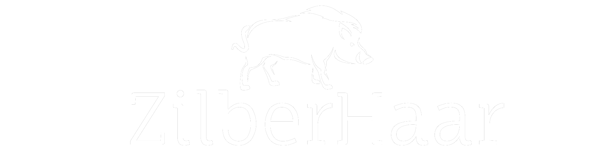 ZilberHaar logo
